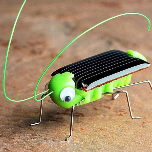 Educational Toys